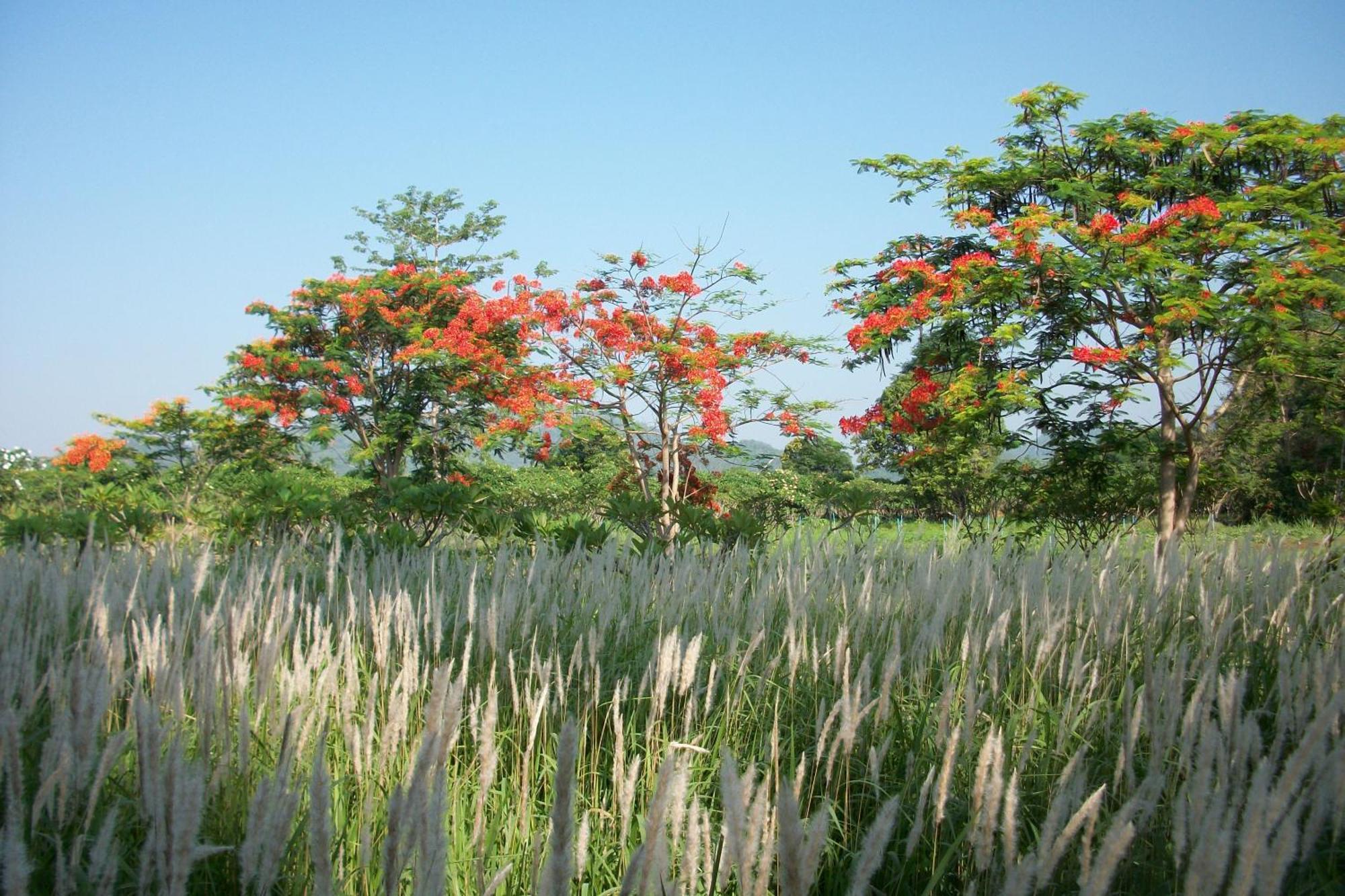 Lilawalai Resort Nong Nam Daeng Zewnętrze zdjęcie
