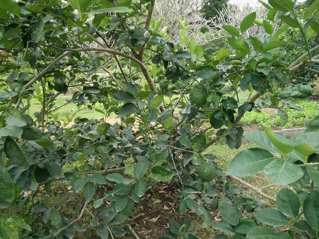 Lilawalai Resort Nong Nam Daeng Zewnętrze zdjęcie
