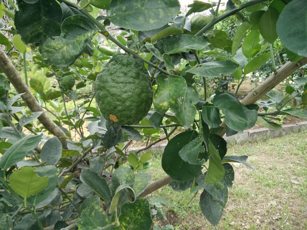 Lilawalai Resort Nong Nam Daeng Zewnętrze zdjęcie