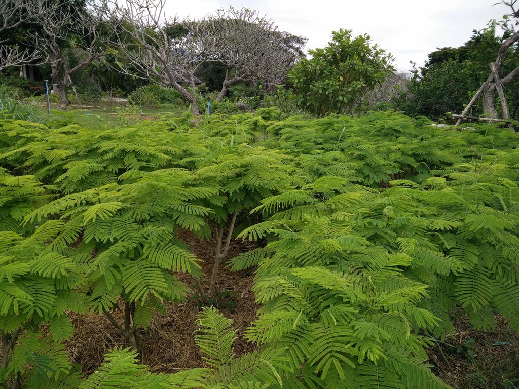 Lilawalai Resort Nong Nam Daeng Zewnętrze zdjęcie