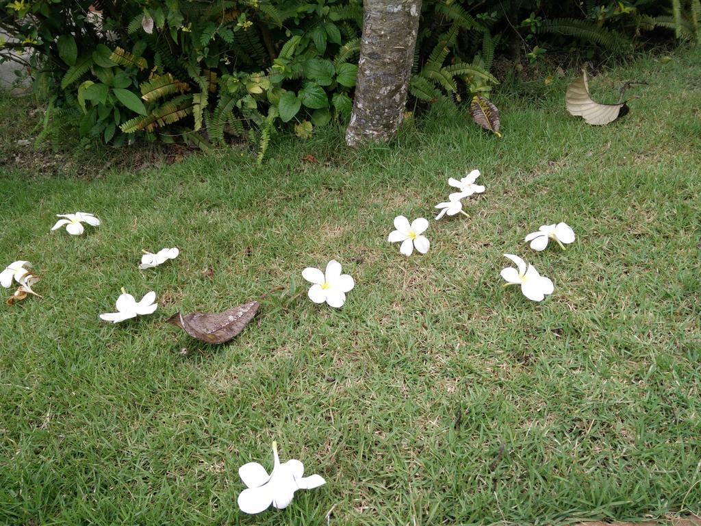 Lilawalai Resort Nong Nam Daeng Zewnętrze zdjęcie